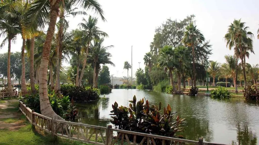 WhatsApp Image 2024-11-13 at 4.02.07 PM (4).webp